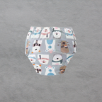 Culotte d'Apprentissage Propreté