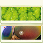 Microscope numérique portable pour enfant